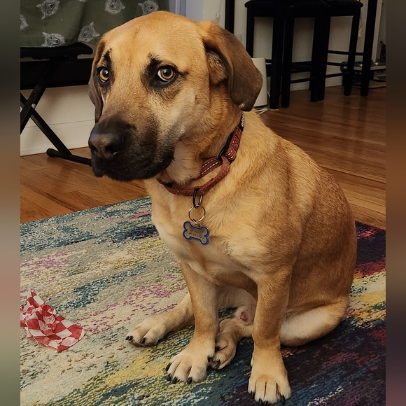 Meet your Posher, Emily - Picture 6 of 8